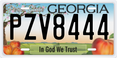 GA license plate PZV8444