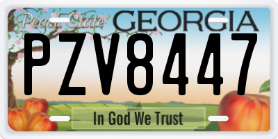 GA license plate PZV8447
