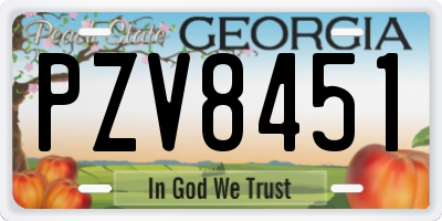 GA license plate PZV8451