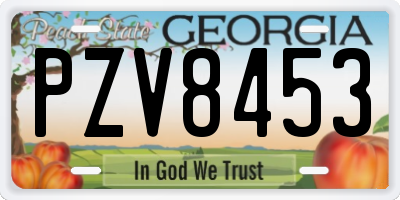 GA license plate PZV8453