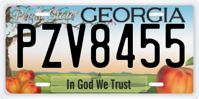 GA license plate PZV8455