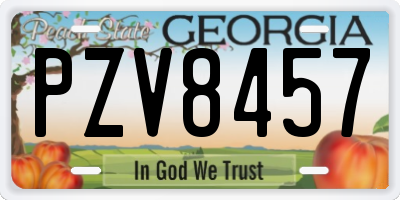GA license plate PZV8457
