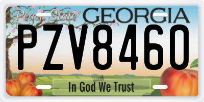 GA license plate PZV8460