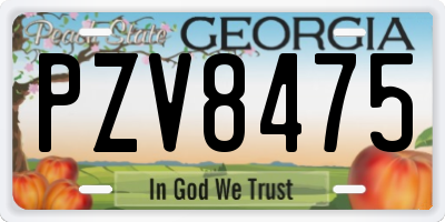 GA license plate PZV8475