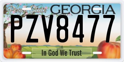 GA license plate PZV8477