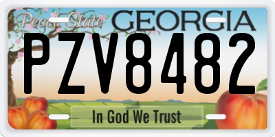 GA license plate PZV8482