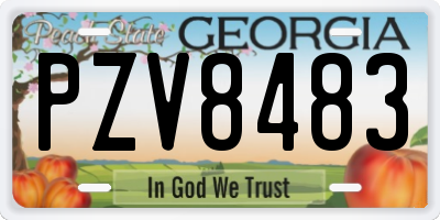 GA license plate PZV8483