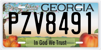 GA license plate PZV8491