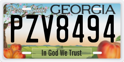 GA license plate PZV8494