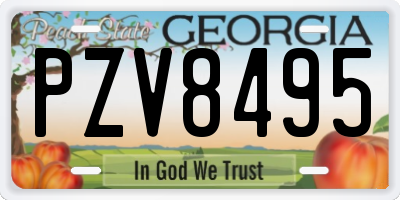 GA license plate PZV8495