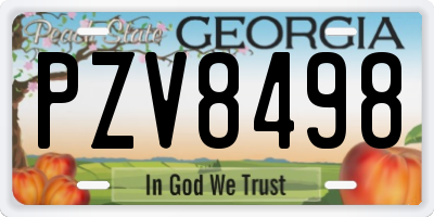 GA license plate PZV8498