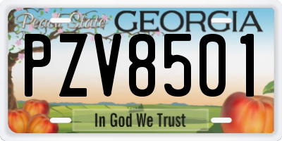 GA license plate PZV8501