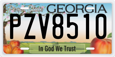 GA license plate PZV8510