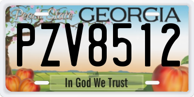 GA license plate PZV8512
