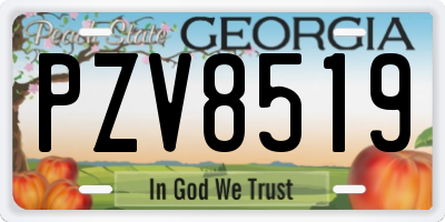 GA license plate PZV8519