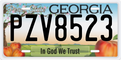 GA license plate PZV8523