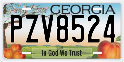 GA license plate PZV8524