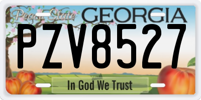 GA license plate PZV8527