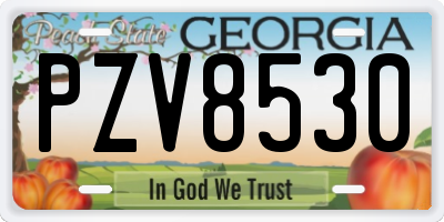 GA license plate PZV8530