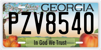 GA license plate PZV8540
