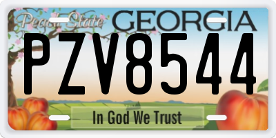 GA license plate PZV8544