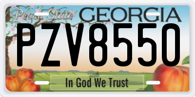 GA license plate PZV8550