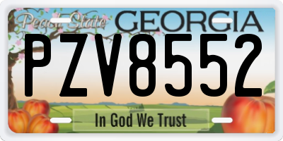 GA license plate PZV8552