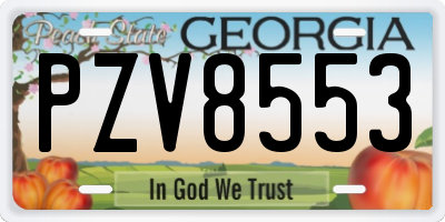 GA license plate PZV8553