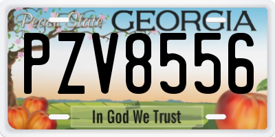 GA license plate PZV8556