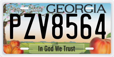 GA license plate PZV8564