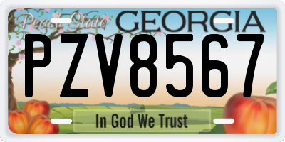 GA license plate PZV8567