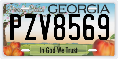 GA license plate PZV8569