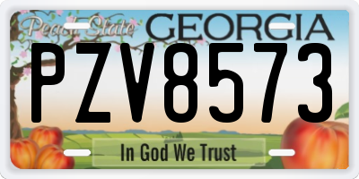 GA license plate PZV8573