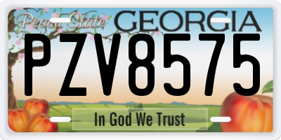 GA license plate PZV8575