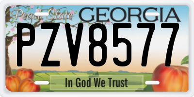 GA license plate PZV8577