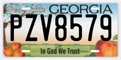 GA license plate PZV8579