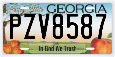 GA license plate PZV8587