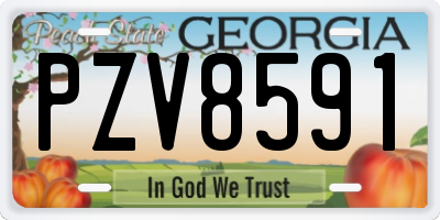GA license plate PZV8591