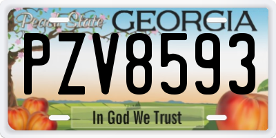 GA license plate PZV8593
