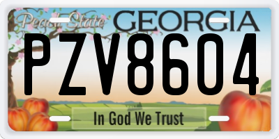 GA license plate PZV8604