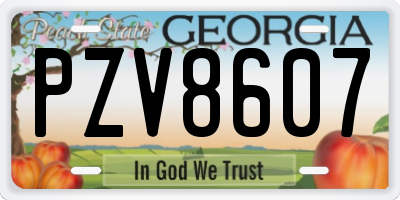 GA license plate PZV8607