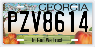 GA license plate PZV8614