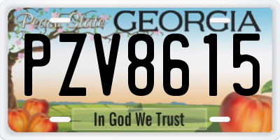 GA license plate PZV8615