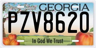 GA license plate PZV8620