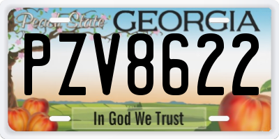 GA license plate PZV8622