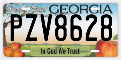 GA license plate PZV8628