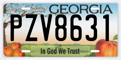 GA license plate PZV8631