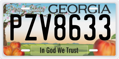 GA license plate PZV8633