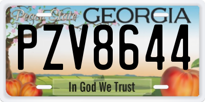 GA license plate PZV8644