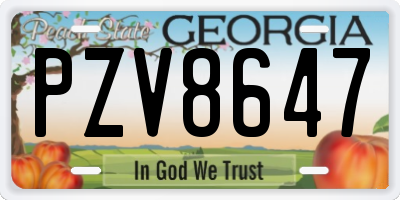 GA license plate PZV8647